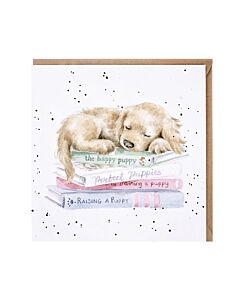 Wrendale Designs "Foraging Foray" Woodland Animal Birthday Card
